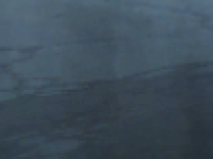 activity report 3