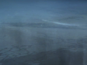 activity report4