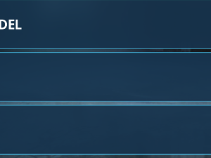 1000086646